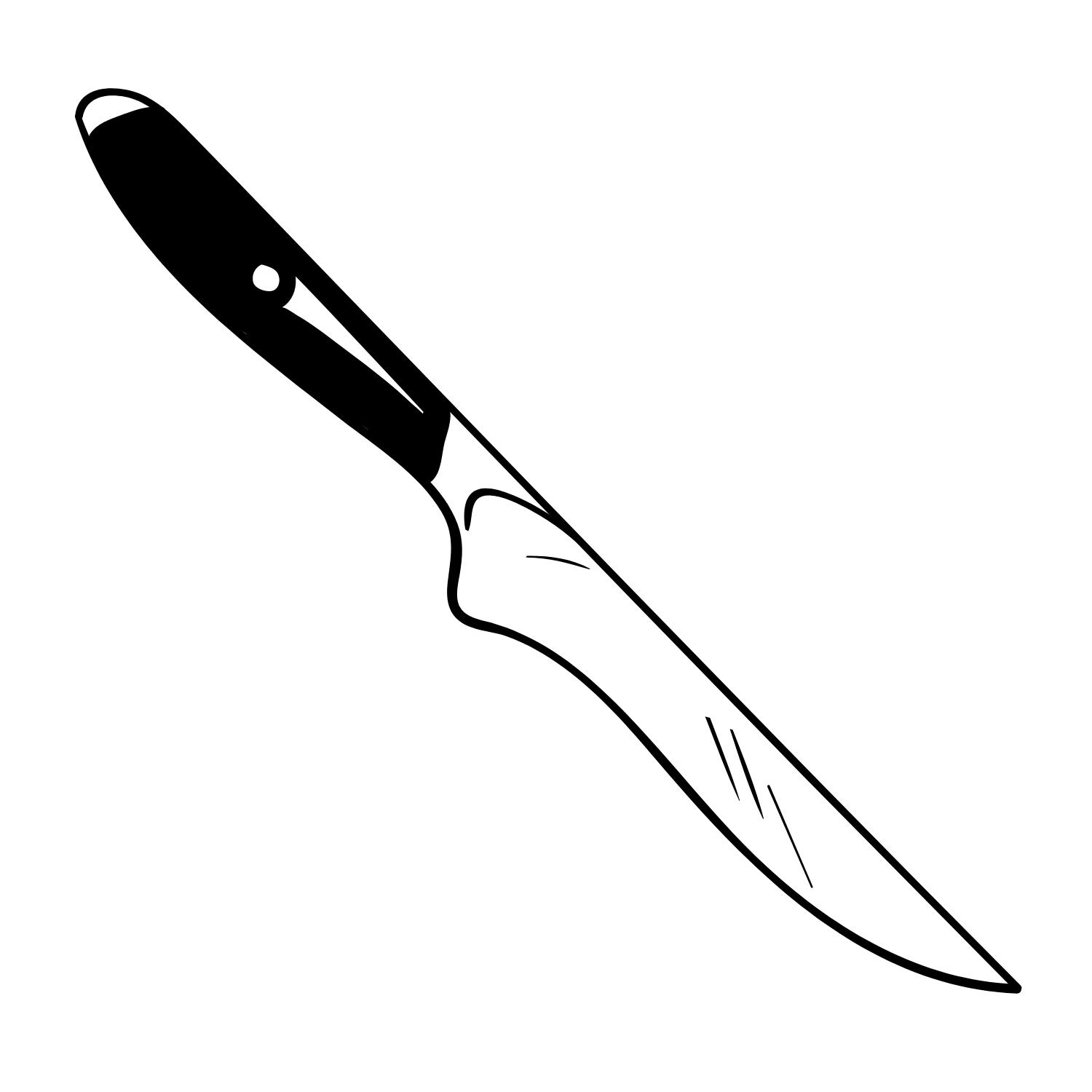 Sharpen Up 365 Fillet and Boning Knives Illustration